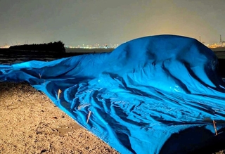 台風21号の接近に伴い、海から陸揚げされたクジラの死骸(神戸市提供)