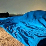 台風21号の接近に伴い、海から陸揚げされたクジラの死骸(神戸市提供)