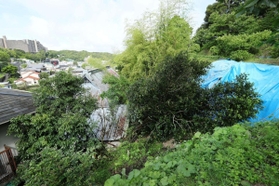 斜面の木が滑り落ち、水色の屋根の民家に土砂とともに流れ込んだ土砂崩れ現場。斜面にはブルーシートがかけられていた=8日午前、神戸市須磨区(撮影・鈴木雅之) 斜面の木が滑り落ち、水色の屋根の民家に土砂とともに流れ込んだ土砂崩れ現場。斜面にはブルーシートがかけられていた=8日午前、神戸市須磨区(撮影・鈴木雅之)