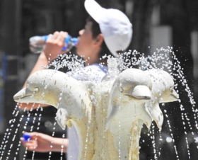 神戸新聞NEXT 神戸新聞NEXT