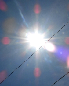 神戸新聞NEXT 神戸新聞NEXT