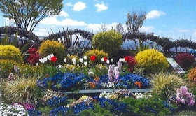 花緑部門・知事賞の「昆陽南公園苗圃を活用する会」=伊丹市(兵庫県提供) 花緑部門・知事賞の「昆陽南公園苗圃を活用する会」=伊丹市(兵庫県提供)