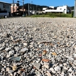 兵庫県加西市北条町栗田の加西商工会館跡地に敷かれた砂利に「プラスチックや金属部品といった建設廃棄物が混じり、臭いもする」という情報が神戸新聞の双方向報道「スクープラボ」に寄せられた。現場に行くと、砂利にはゴム、ガラス、タイル、木片なども混在。これらは産業廃棄物とされているが、環境への影響はないのか。県の担当部局に取材した。(小谷千穂)