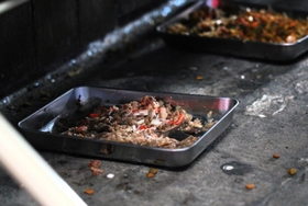 かんなみ新地の敷地内に置かれた「地域ネコ」のエサ。よく食べるよう「かにかま」が混ぜられている。地元ボランティアと協力して面倒を見ているといい、警告を受けて廃業してからもママさんがエサをやりにきている。緊急事態宣言発令により休業している間も、エサの交換は欠かさなかった=5日夜、尼崎市神田南通3 かんなみ新地の敷地内に置かれた「地域ネコ」のエサ。よく食べるよう「かにかま」が混ぜられている。地元ボランティアと協力して面倒を見ているといい、警告を受けて廃業してからもママさんがエサをやりにきている。緊急事態宣言発令により休業している間も、エサの交換は欠かさなかった=5日夜、尼崎市神田南通3