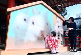 生田神社に奉納された来年のえと「卯」の大絵馬=28日午前、神戸市中央区下山手通1 生田神社に奉納された来年のえと「卯」の大絵馬=28日午前、神戸市中央区下山手通1