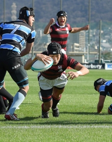 報徳-茗渓学園 前半、モールからボールを持ち出した報徳の山村(中央)がトライを決める(撮影・秋山亮太) 報徳-茗渓学園 前半、モールからボールを持ち出した報徳の山村(中央)がトライを決める(撮影・秋山亮太)