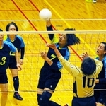 高松、山本が攻守でけん引 前田監督「よくつないだ」 ママさんバレー神戸新聞杯6年ぶりV