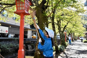 灯籠を掃除する城崎中学の生徒=豊岡市城崎町湯島 灯籠を掃除する城崎中学の生徒=豊岡市城崎町湯島