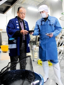 酒造りに使う県産山田錦の吸水工程をチェックする福本芳夫社長(左)=香美町香住区小原、香住鶴 酒造りに使う県産山田錦の吸水工程をチェックする福本芳夫社長(左)=香美町香住区小原、香住鶴