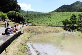 大学生らが地元住民らとフィールドワークを行った水田=丹波市市島町北奥 大学生らが地元住民らとフィールドワークを行った水田=丹波市市島町北奥