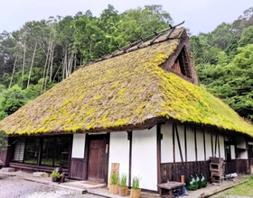 屋根の改修前の「長者屋敷」。コケや草も目立つ=丹波篠山市網掛 屋根の改修前の「長者屋敷」。コケや草も目立つ=丹波篠山市網掛