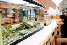 生徒が捕まえた魚の展示=氷上回廊水分れフィールドミュージアム 生徒が捕まえた魚の展示=氷上回廊水分れフィールドミュージアム
