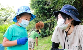 大粒の栗を拾う親子連れ=丹波篠山市 大粒の栗を拾う親子連れ=丹波篠山市
