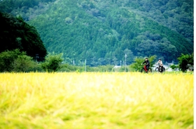 福住エリアの里山風景の中をのんびりと走る(自転車工房ハイランダー提供) 福住エリアの里山風景の中をのんびりと走る(自転車工房ハイランダー提供)