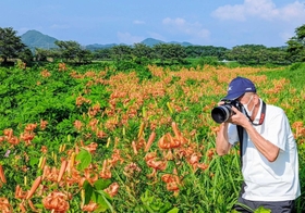オニユリの花を撮影する大和隆哲さん=丹波篠山市東古佐 オニユリの花を撮影する大和隆哲さん=丹波篠山市東古佐