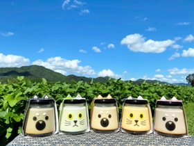 和み工房の「黒豆プリン」=丹波県民局提供 和み工房の「黒豆プリン」=丹波県民局提供