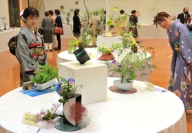 多彩な作品が並ぶ、池坊京都北部連合支部の生け花展=ポップアップホール 多彩な作品が並ぶ、池坊京都北部連合支部の生け花展=ポップアップホール