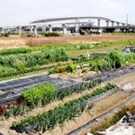 兵庫県加古川市加古川町美乃利の間形(まがた)地区の約6・4ヘクタールが、「市街化区域」に編入された。これまでは都市化を抑制する「市街化調整区域」で、住宅を建設するには市の許可が必要だったが、変更され