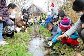 ホタルの幼虫を放す子どもら=いなみ野水辺の里公園 ホタルの幼虫を放す子どもら=いなみ野水辺の里公園