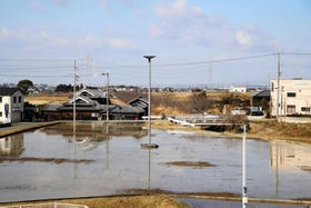 冬場も水を張った関西広告社の田んぼ。中央に巣塔が立てられている=稲美町国岡 冬場も水を張った関西広告社の田んぼ。中央に巣塔が立てられている=稲美町国岡