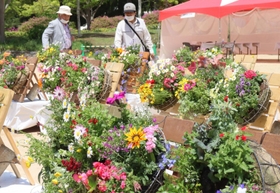 円形の鉢に色とりどりの花が植えられた作品が並ぶ会場=日岡山公園 円形の鉢に色とりどりの花が植えられた作品が並ぶ会場=日岡山公園