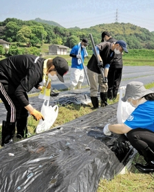 パイプで畝に穴を開け、綿花の種を入れていった=加古川市志方町広尾 パイプで畝に穴を開け、綿花の種を入れていった=加古川市志方町広尾