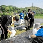 加古川産コットンの普及に取り組む会社「かこっとん」(兵庫県加古川市志方町高畑、鷲尾吉正社長)が、障害者の就労継続支援A型事業所「カコガワドリーム」(同県播磨町宮西)と協力し、農福連携による綿花栽培を始めた。18日、同市志方町広尾の農地で種まきをした。