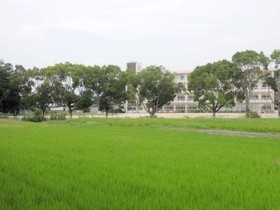 コウノトリの巣塔が設置されることになった神野小学校=加古川市神野町石守 コウノトリの巣塔が設置されることになった神野小学校=加古川市神野町石守