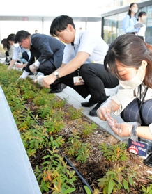 「ど根性ひまわり」の種をまく新人職員ら=高砂市役所(高砂市提供) 「ど根性ひまわり」の種をまく新人職員ら=高砂市役所(高砂市提供)