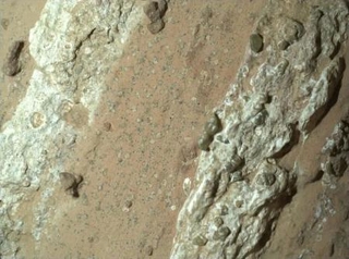 火星探査車パーシビアランスが撮影した岩石。中央付近にヒョウ柄のような斑点が見える(NASAなど提供・共同)