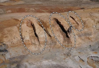 大阪府枚方市の茄子作遺跡で発見された初期須恵器の窯跡(丸で囲った部分)(大阪府文化財センター提供)