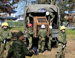 陸上自衛隊秋田駐屯地での訓練で、箱わなを運ぶ隊員=30日午前、秋田市(陸自提供)