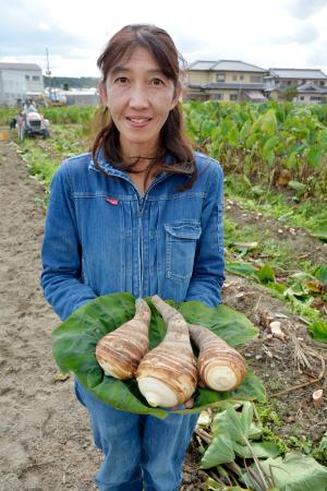 収穫した「海老芋」を手にする乾裕佳さん=大阪府富田林市