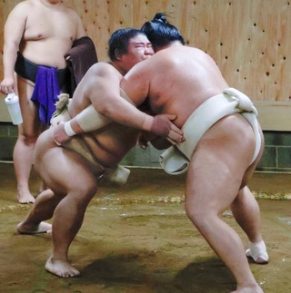 稽古をする伯桜鵬(左)=福岡県太宰府市