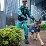 米大使館周辺で爆発物がないか探索する警備犬=26日午前、東京・赤坂