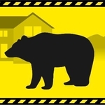 クマのイラスト