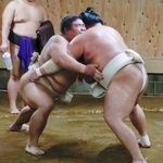 稽古をする伯桜鵬(左)=福岡県太宰府市