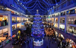 札幌市の大型商業施設「サッポロファクトリー」で点灯されたクリスマスツリー。白や金など6色のLED電球約5万個が輝いた=1日夜