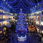 札幌市の大型商業施設「サッポロファクトリー」で点灯されたクリスマスツリー。白や金など6色のLED電球約5万個が輝いた=1日夜