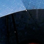 雨の日も