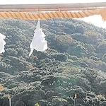 神頼み