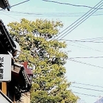 閑散