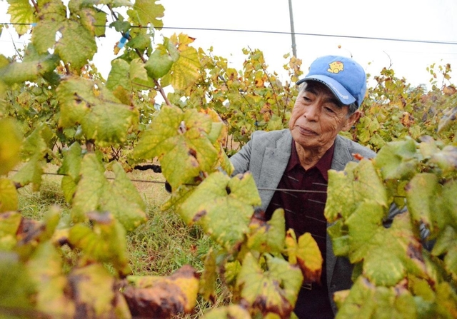 印路生産組合の安尾勝さん=神戸市西区平野町印路