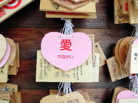 撮影・木皿泉(画像の一部を加工しています) 撮影・木皿泉(画像の一部を加工しています)