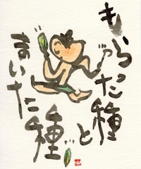 もらった種とまいた種