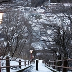 高台の清正公園から温泉街を見下ろすと、屋根に雪を乗せた民家が身を寄せ合うように並んでいた=新温泉町湯(撮影・三津山朋彦)