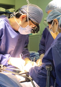 婦人科がんの手術で、リンパ節を切除する北正人部長(左)。拡大鏡を使って細かいリンパ管の走行を確認する=神戸市中央区港島南町2 婦人科がんの手術で、リンパ節を切除する北正人部長(左)。拡大鏡を使って細かいリンパ管の走行を確認する=神戸市中央区港島南町2