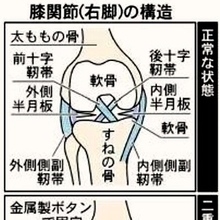 20091128