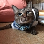 時折見せる可愛い表情が愛おしい