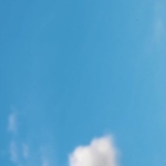 雲にかぶりつけ…!!(画像提供/tomosakiさん)